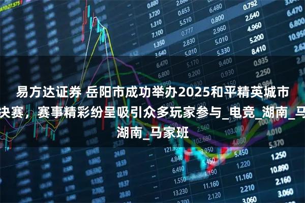 易方达证券 岳阳市成功举办2025和平精英城市赛总决赛，赛事精彩纷呈吸引众多玩家参与_电竞_湖南_马家班