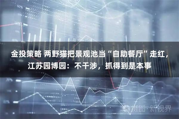 金投策略 两野猫把景观池当“自助餐厅”走红，江苏园博园：不干涉，抓得到是本事